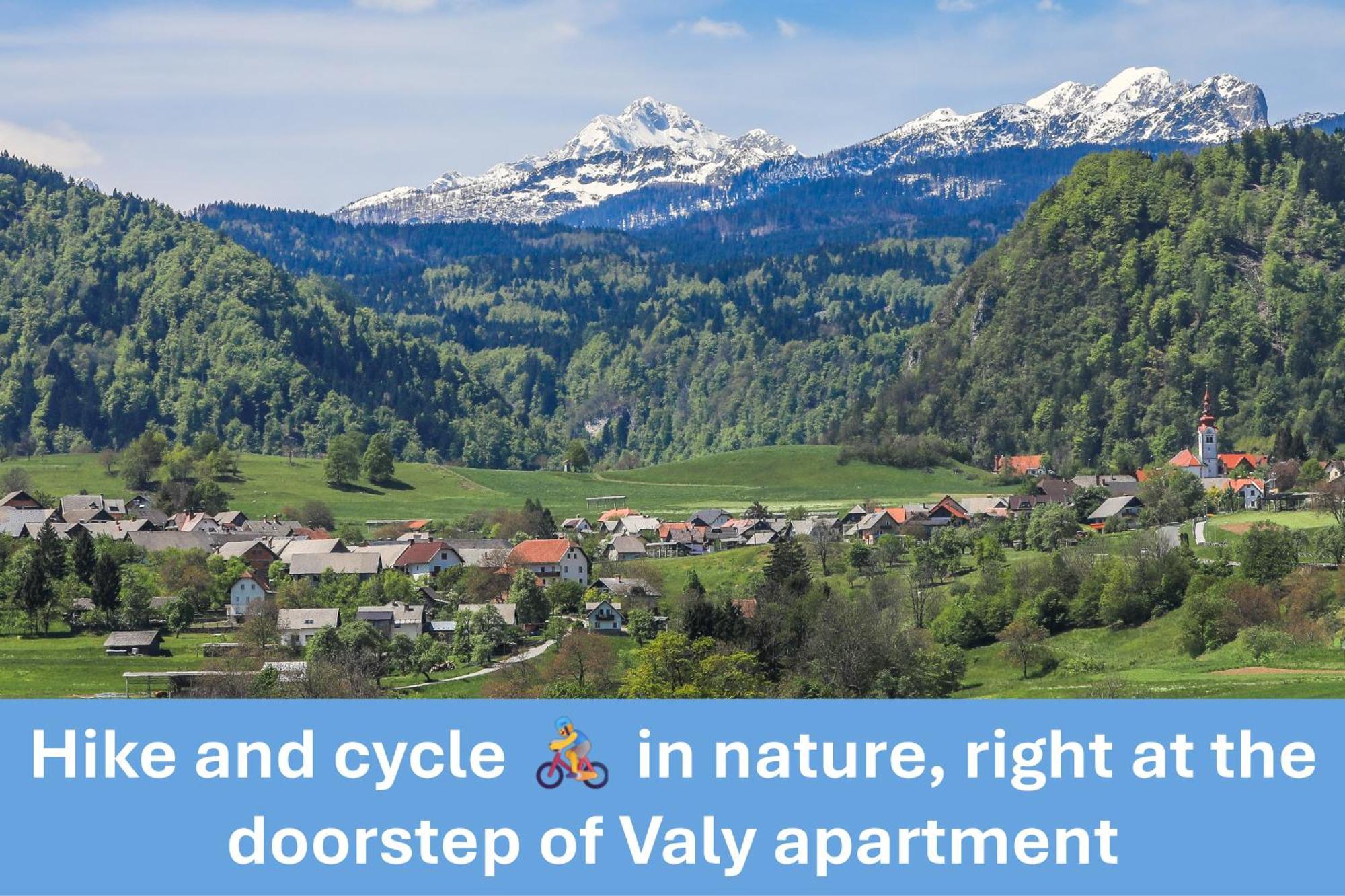 Apartment Valy - Free Bikes, Relaxing Terrace & Near Μπλεντ Εξωτερικό φωτογραφία
